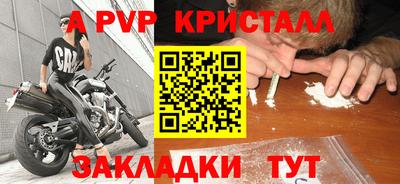 a pvp Свободный